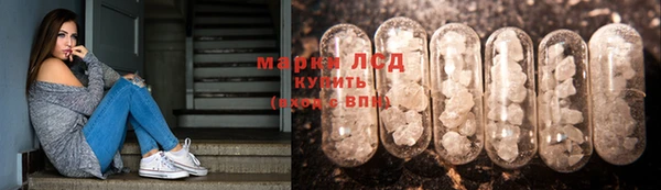 эйфоретик Алзамай