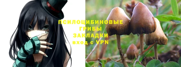 ПСИЛОЦИБИНОВЫЕ ГРИБЫ Алексеевка