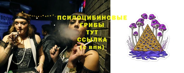 ПСИЛОЦИБИНОВЫЕ ГРИБЫ Алексеевка