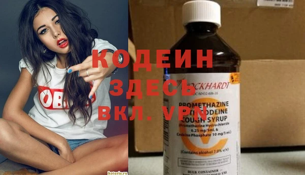 эйфоретик Алзамай