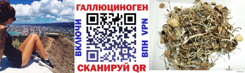 Галлюциногенные грибы GOLDEN TEACHER  hydra   Биробиджан  купить  сайты 